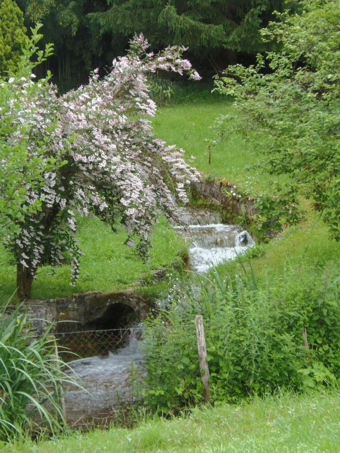Allas-Les-MinesLa Chabotine住宿加早餐旅馆 外观 照片